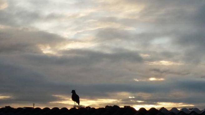 Previsão é de chuva no litoral e sol no interior de SC
