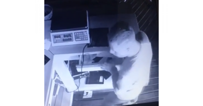 Câmera de segurança flagra roubo em sorveteria de Imbituba