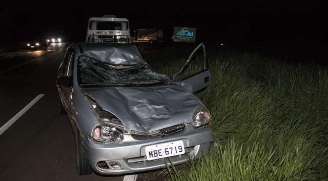 Em SC: Cavalo invade pista e provoca acidente