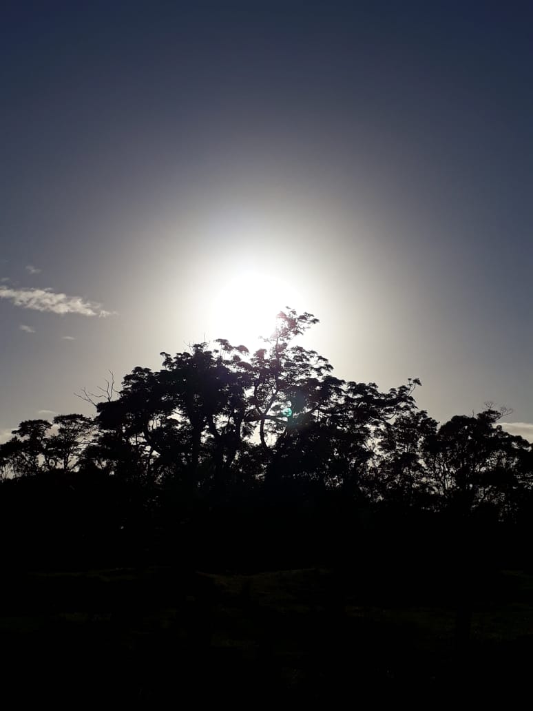 Terça-feira de temperatura elevada em SC