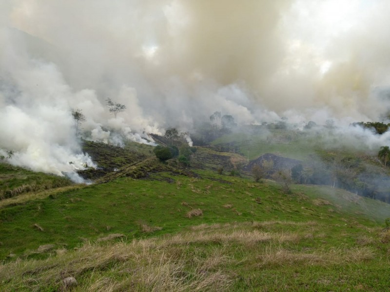 Bombeiros militares de Tubarão alertam: Mais de 10 ocorrências de incêndio em vegetação são registradas nesta quinta-feira (15)