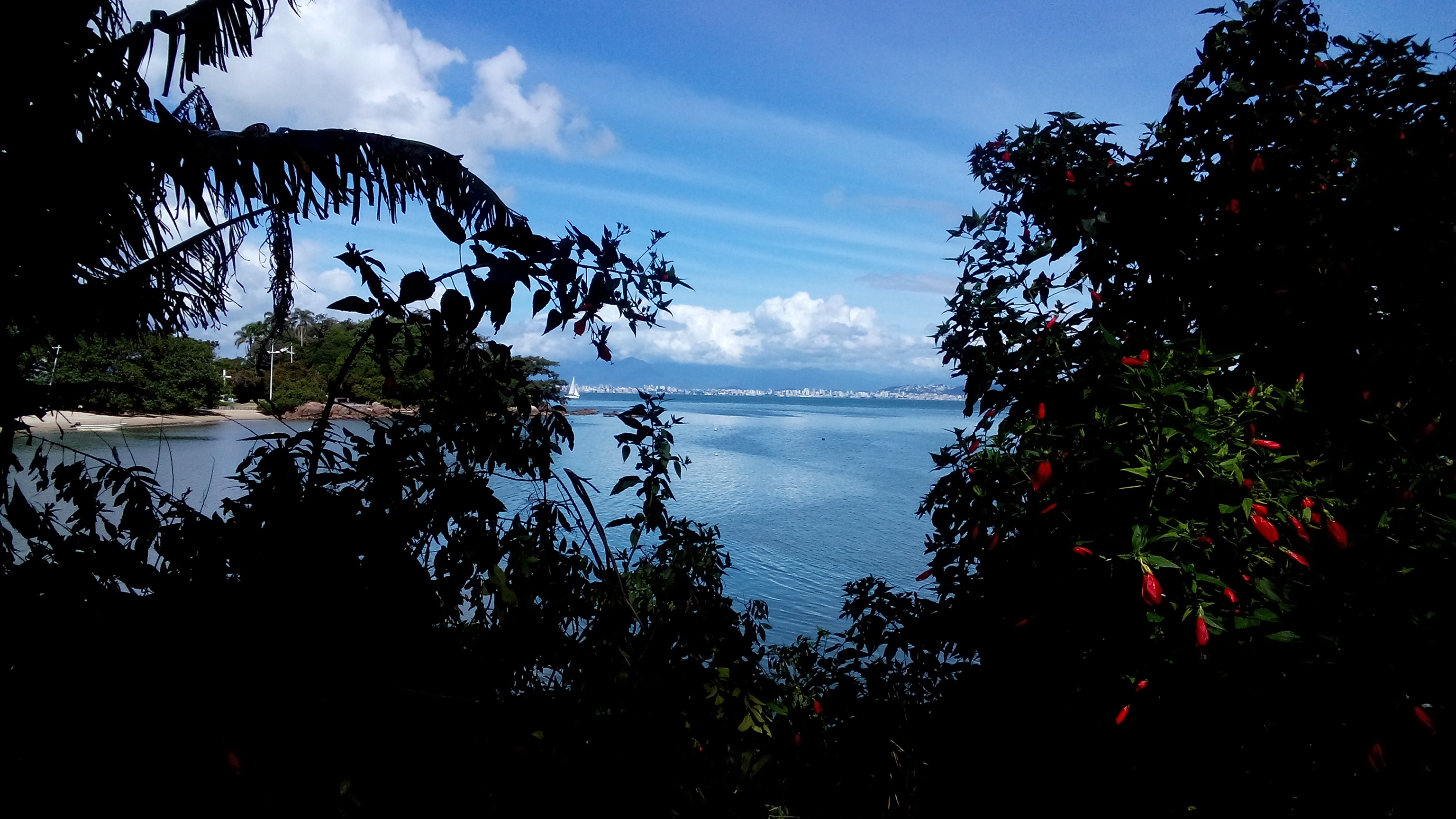 Previsão do tempo aponta presença do sol durante a semana em SC; mas na sexta-feira haverá mudanças