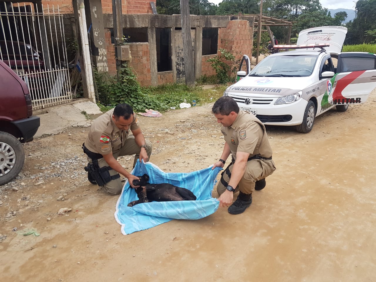 Em SC: Cão com fratura exposta é resgatado por policiais militares