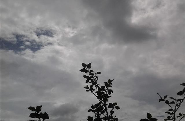 Terça-feira com predomínio de nuvens em SC