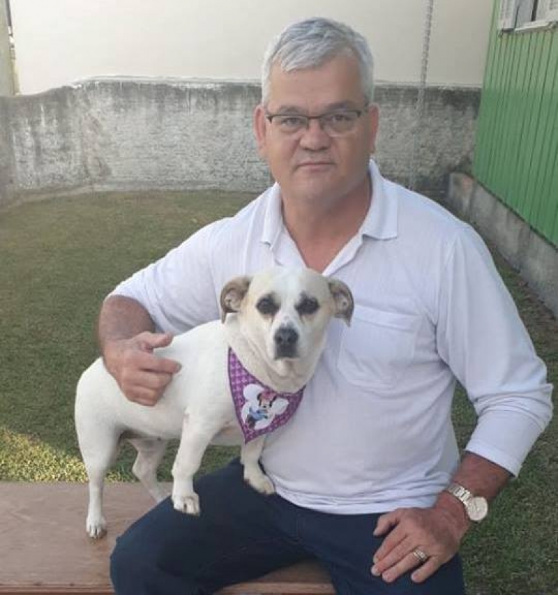 Cão levado em roubo de veículo é reencontrado