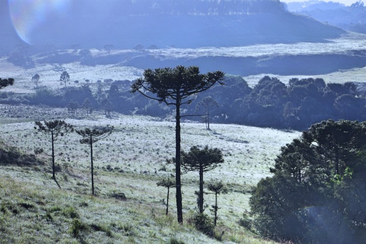 São Joaquim registra a geada de número 100 deste ano