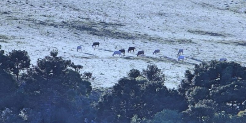 Em SC: 3ª geada de dezembro e a de número 102 em 2018