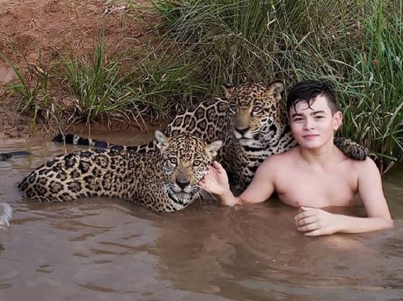 Uma linda história e exemplo de vida: O menino e as onças-pintadas!