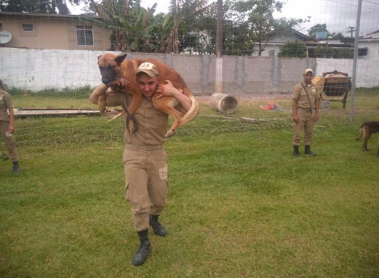 Policial militar conclui formação no Curso de Condução K9