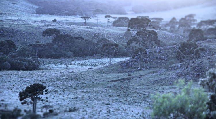 Com 1.9ºC, serra catarinense tem mais uma geada em Dezembro