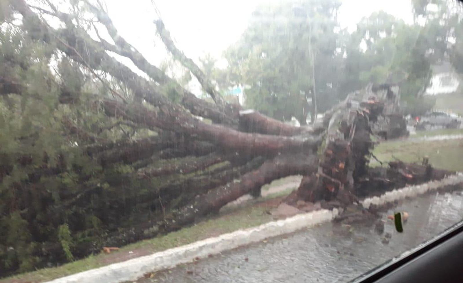 Em SC: Chuva com vento e granizo causa estragos