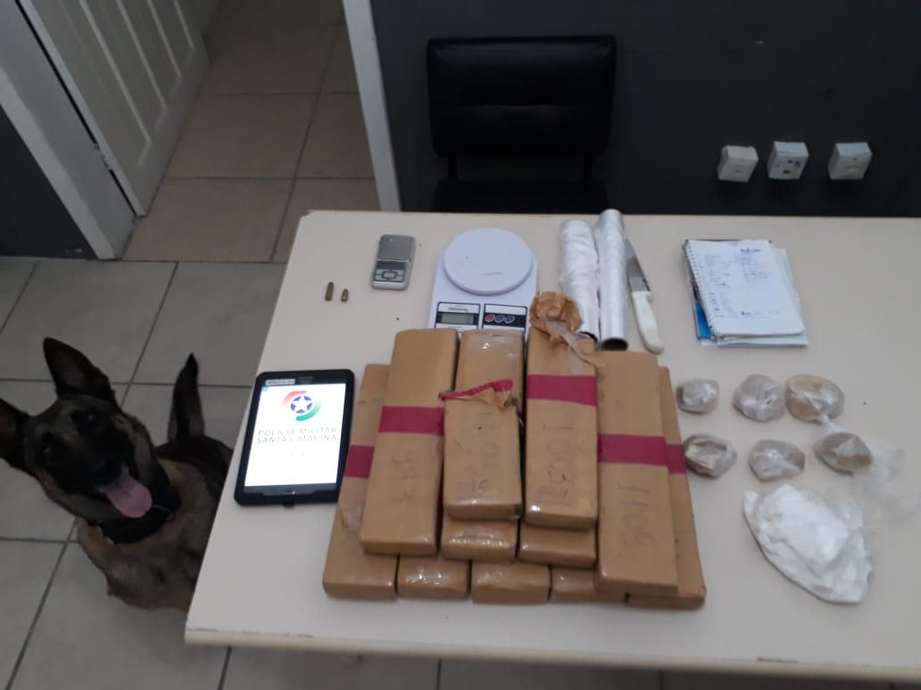 Polícia apreende mais de 10 quilos de maconha em Criciúma