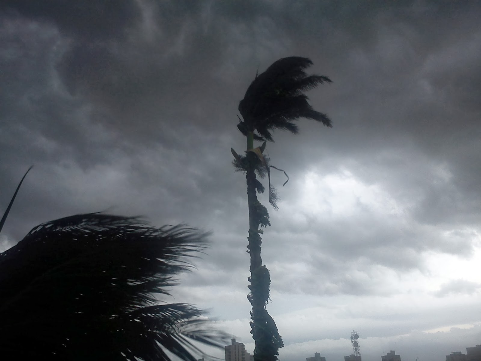 Defesa Civil emite quatro alertas de temporais