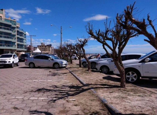Sem autorização, árvores são podadas no Mar Grosso em Laguna