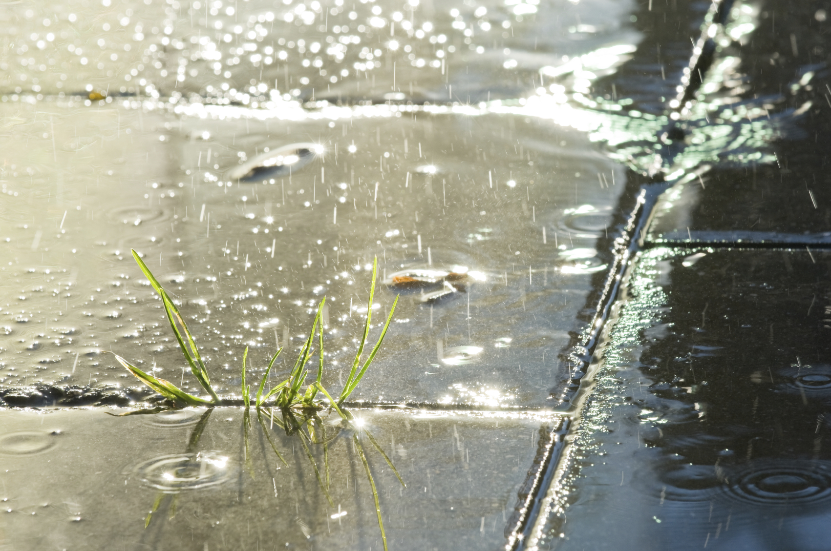 Chuva em todas as regiões em SC