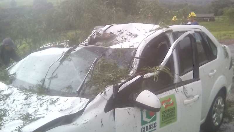 Temporal no oeste de SC: Veículo é atingido por árvore
