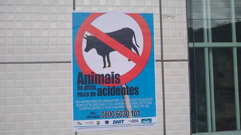 DNIT/SC intensifica ações contra dengue e animais próximos do tráfego, na BR-101