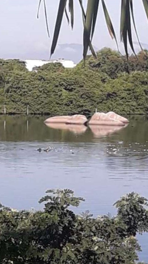 No RJ: Helicóptero da PM cai na Baía de Guanabara