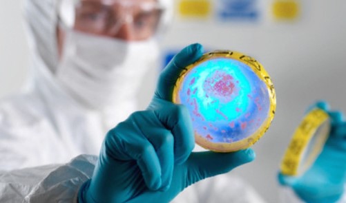 OMS lista as 10 principais ameaças para a saúde em 2019