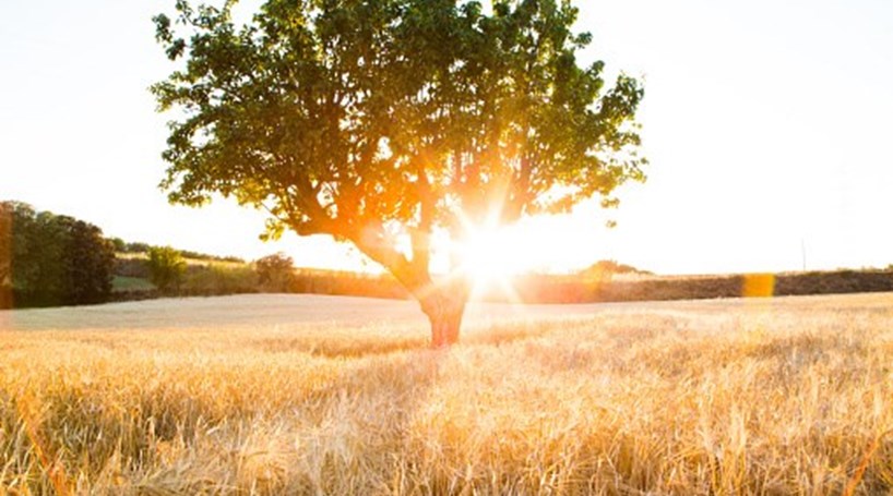 Amanhã (23) será o dia mais quente da semana em SC; Previsão é de temporais em todas as regiões 