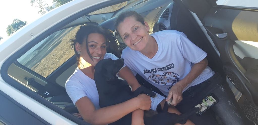 Em SC: Após ser abusada, cadela ganha novo lar