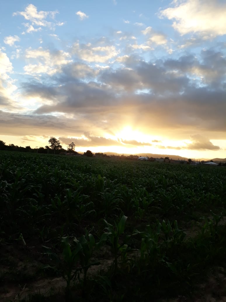 Temperatura em elevação neste fim de semana