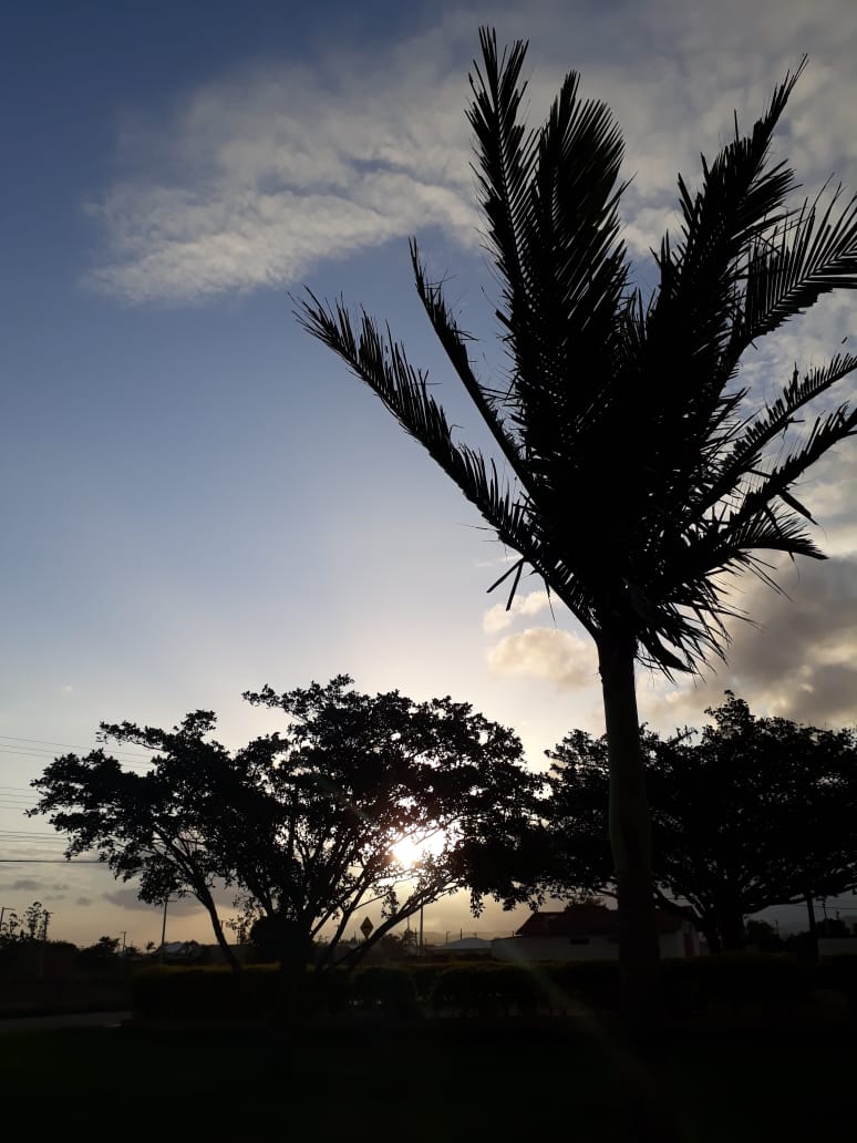 Calor e sol entre nuvens predominam neste domingo