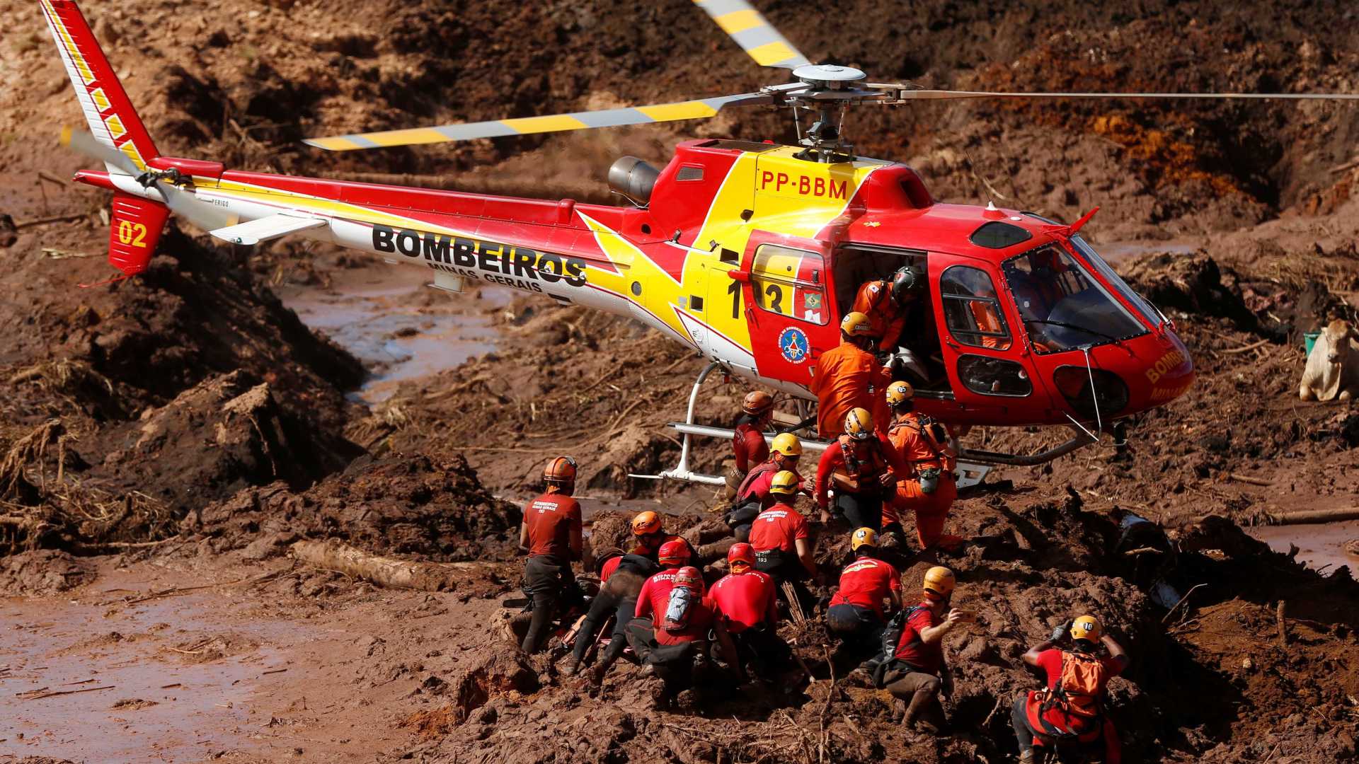 Número de mortos na tragédia em Brumadinho sobe para 99