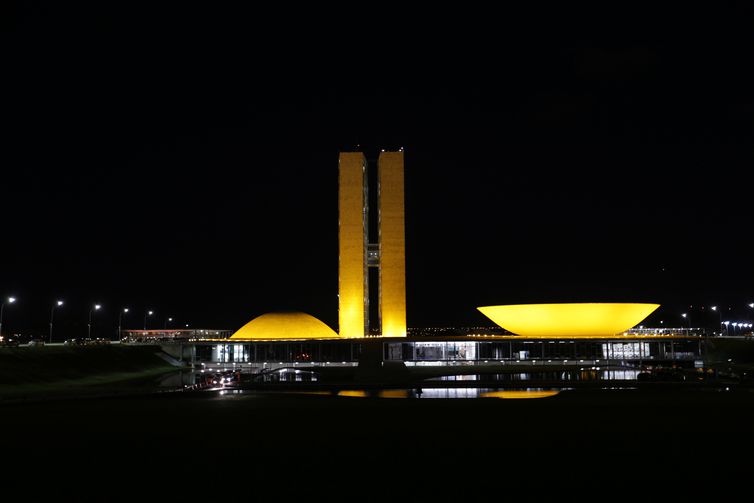 Presidentes da Câmara e do Senado serão escolhidos nesta sexta-feira (1)