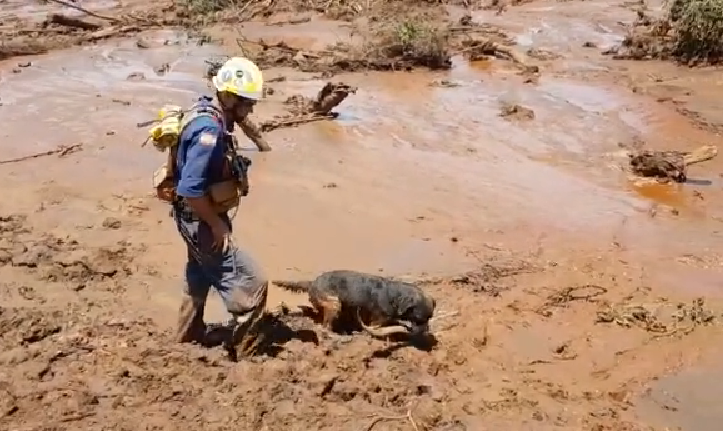 Bombeiros catarinenses localizam primeiro corpo em Brumadinho