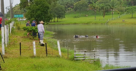 Em Araranguá: Motorista perde controle de veículo e cai em açude