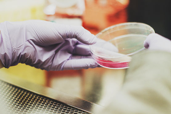 Convênio renovado garante exames de DNA gratuito por mais 6 meses em Santa Catarina