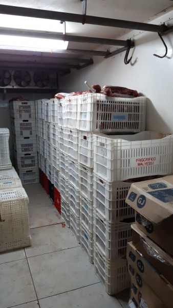 Quatro toneladas de carne roubada são recuperadas em Tubarão