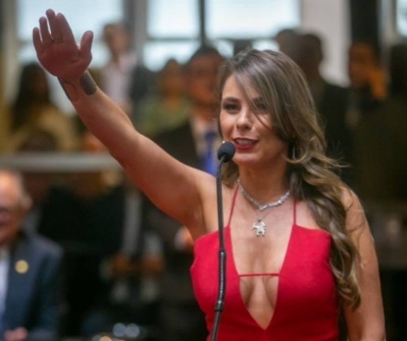 Deputada de SC registra B.O após sofrer ataques na web