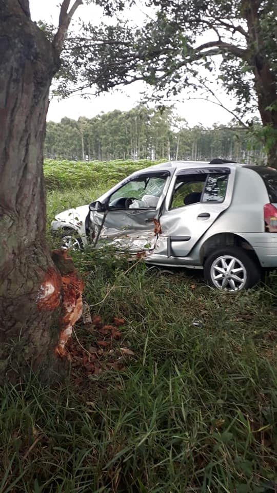 Motorista perde controle da direção e bate em duas árvores em Jaguaruna