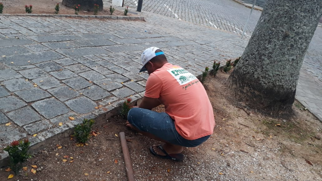 Plantio de flores é alvo de vandalismo em Laguna