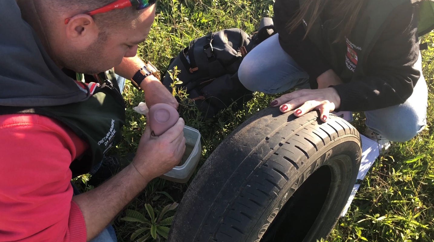Primeiro foco do Aedes aegypti deste ano é registrado em Imbituba