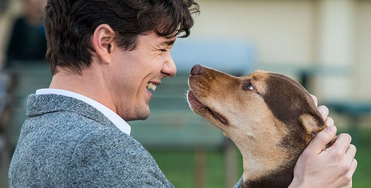 Dois filmes estreiam nesta quinta-feira (28) no Cine Show, em Tubarão