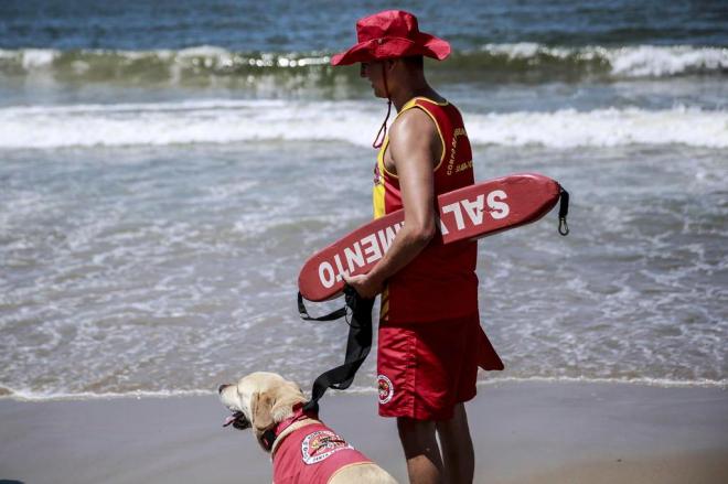 Domingo (3) é de sol em todas as regiões de SC