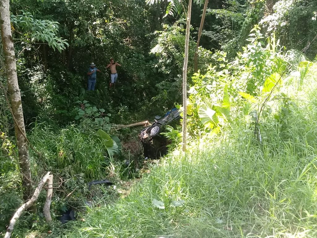 Em SC: Motorista cai em ribanceira de cerca de 10 metros