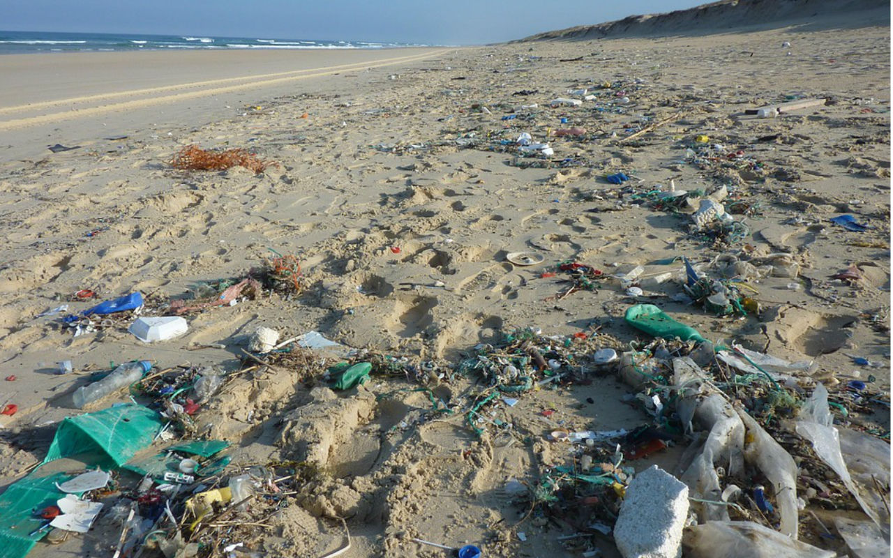 Bolsonaro anuncia campanha de combate à poluição no mar