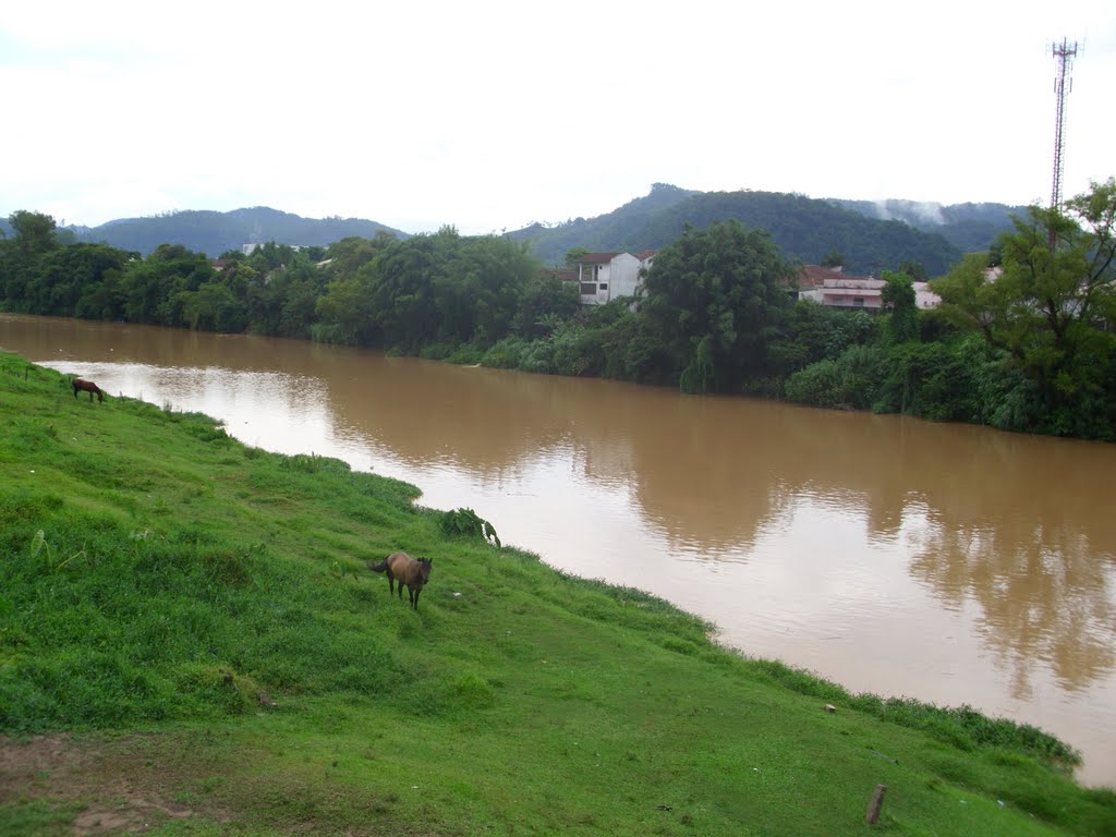Corpo de homem é encontrado nas margens de rio em São Ludgero