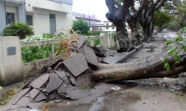 Internacional: Ciclone Idai já deixa 150 mortos