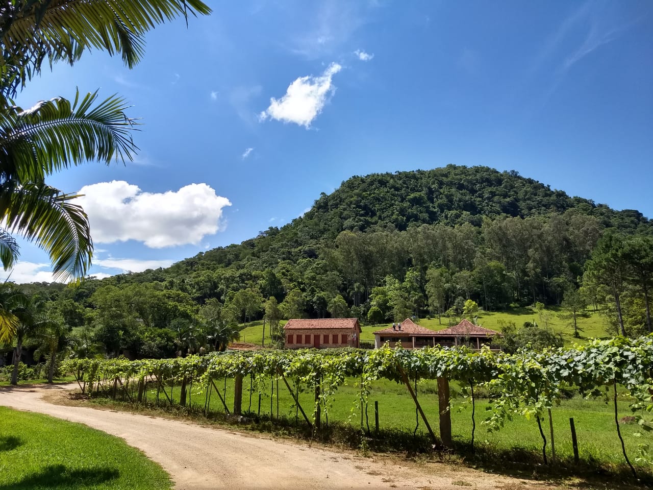 Verão se despede com temperatura mais elevada em SC