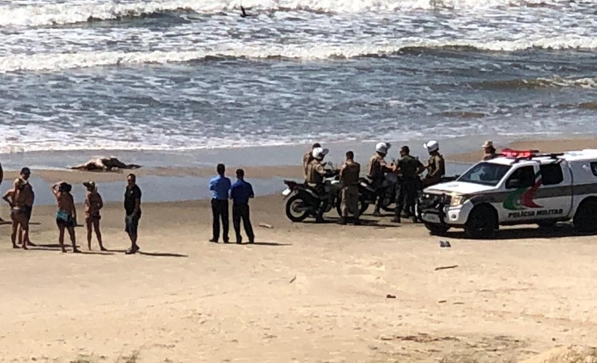 Ocorrência em andamento: Corpo é encontrado em Laguna
