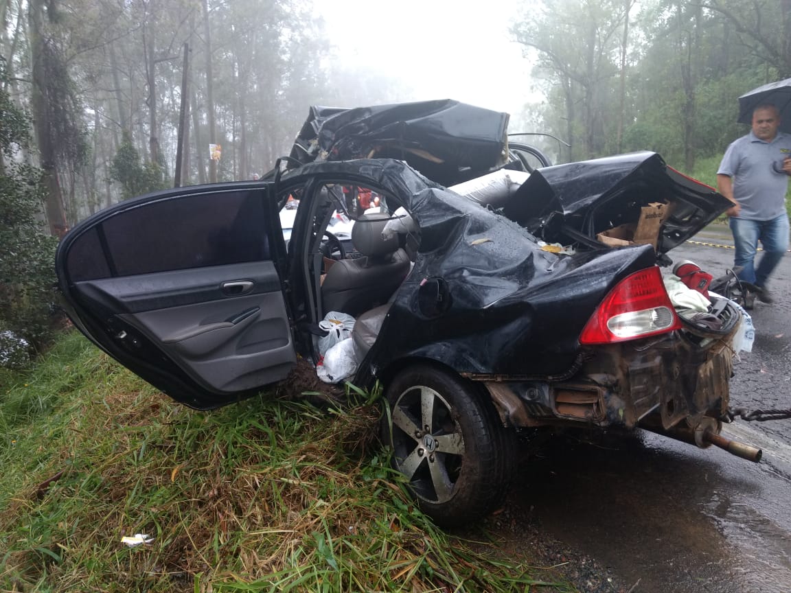 Em SC: Batida em árvore mata motorista na BR-470 neste domingo
