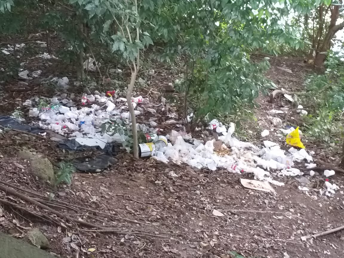 Prefeitura de Tubarão vai investigar lixo jogado às margens do rio