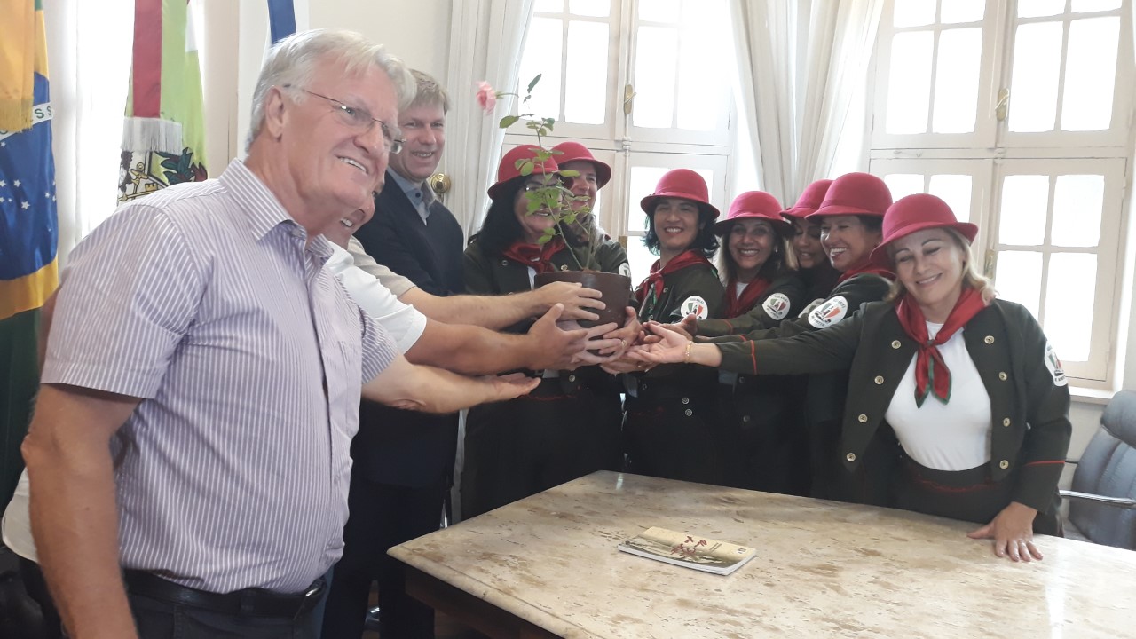 Rosa de Anita será clonada e distribuída em todo o estado