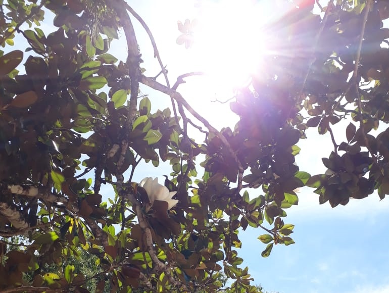 Segunda-feira de sol e calor em SC