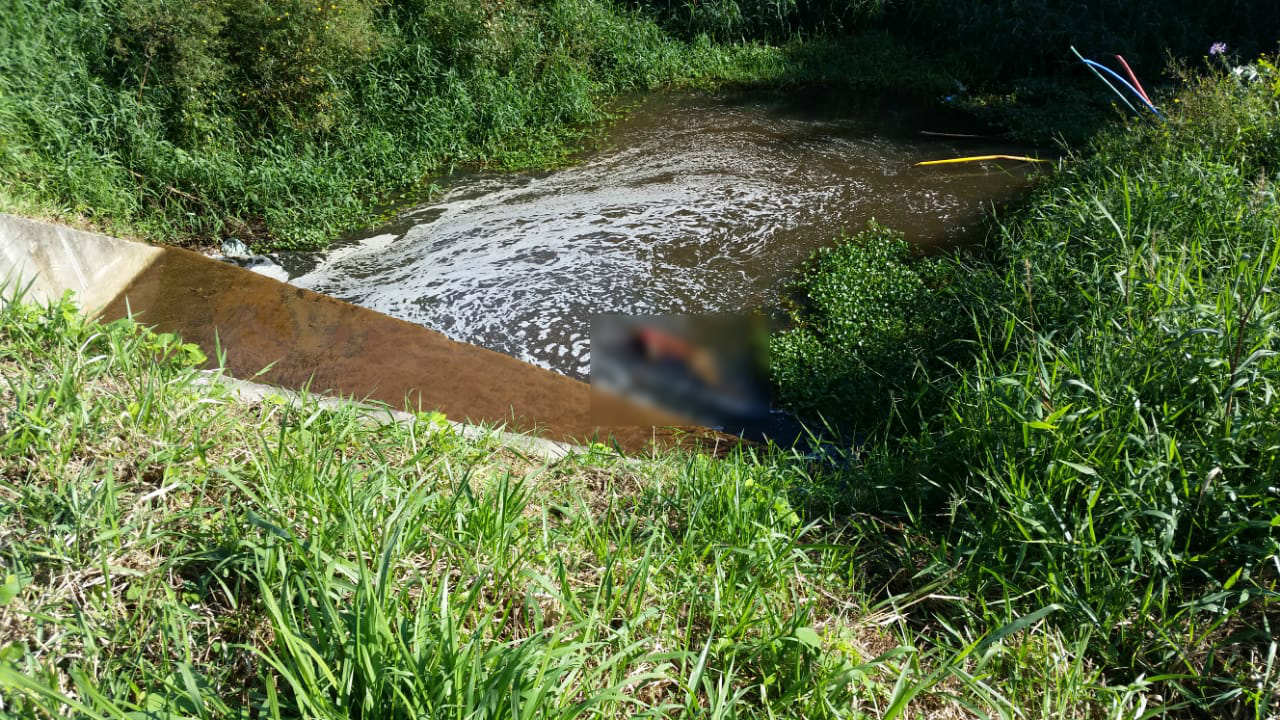 Corpo é encontrado às margens da BR-101, em Pescaria Brava